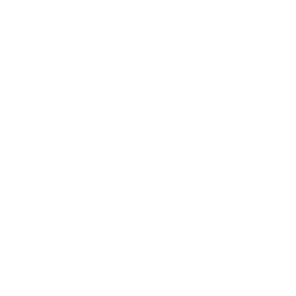 An outline of a 12-sided die